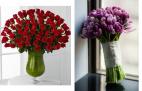 Róże czy tulipany - pojedynek walentynkowych bukietów!